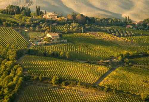 Tuscany fields photo