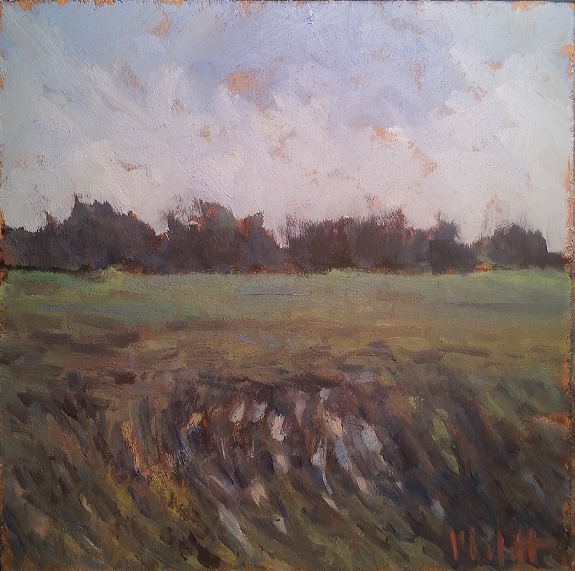 Painting Daily Heidi Malott Original Art Wet Field Summer Wheat