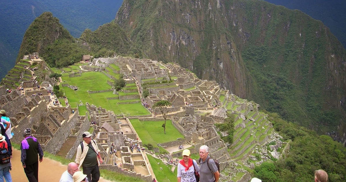 Clavo de olor - Turismo & Viajes ▷ Portal iPerú