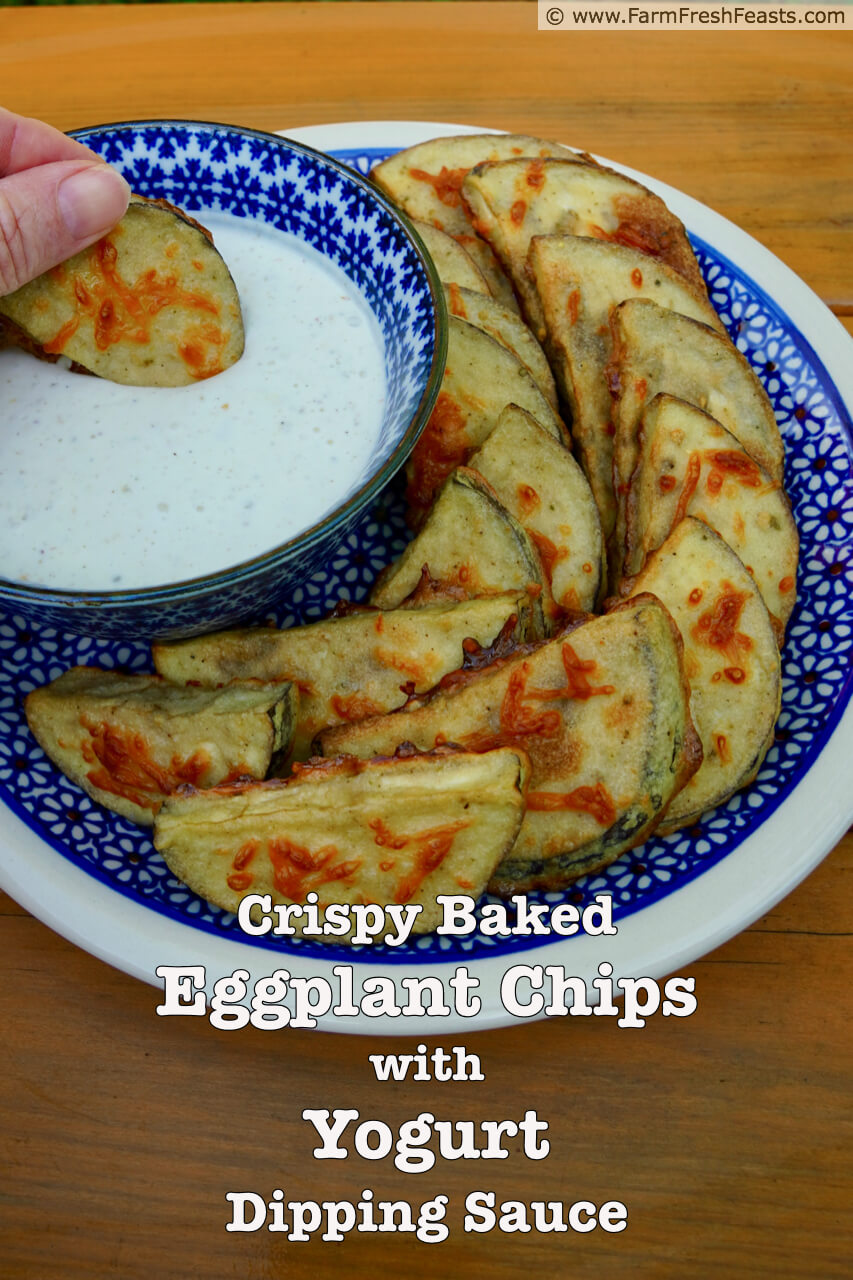 Farm Fresh Feasts Crispy Baked Eggplant Chips with Spiced Yogurt