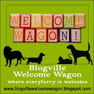 The Welcome Wagon