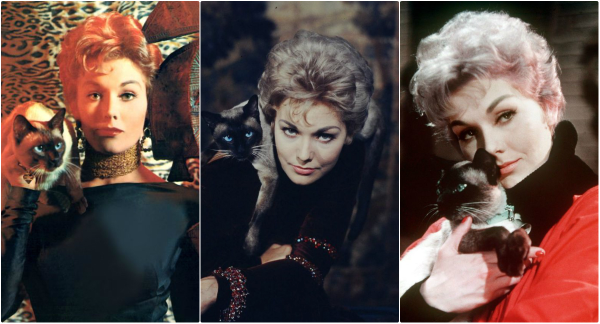 20 Lovely Photos of Kim Novak With Her Cat Pyewacket in “Bell, Book, And Candle” (1958