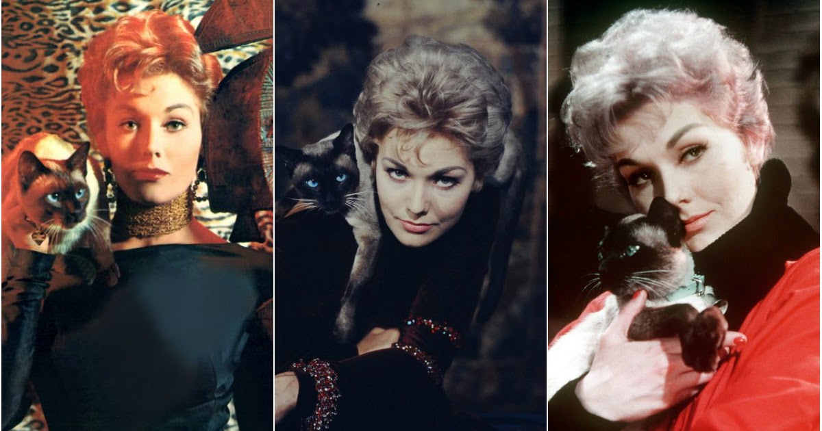 20 Lovely Photos of Kim Novak With Her Cat Pyewacket in “Bell, Book