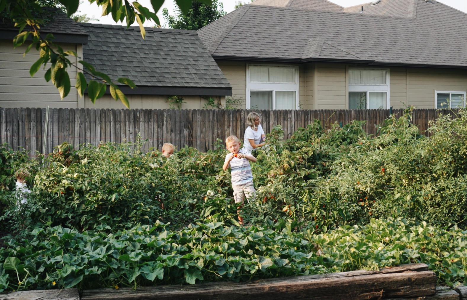 The Stevenson Ohana Nana’s Garden