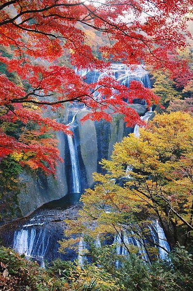 Fukuroda falls,Japan