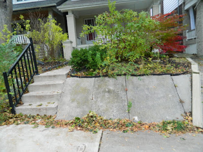 Toronto Beach Hill Fall Cleanup Before by Paul Jung Gardening Services--a Toronto Organic Gardening Company Toronto Beach Hill Fall Cleanup Before by Paul Jung Gardening Services--a Toronto Organic Gardening Company