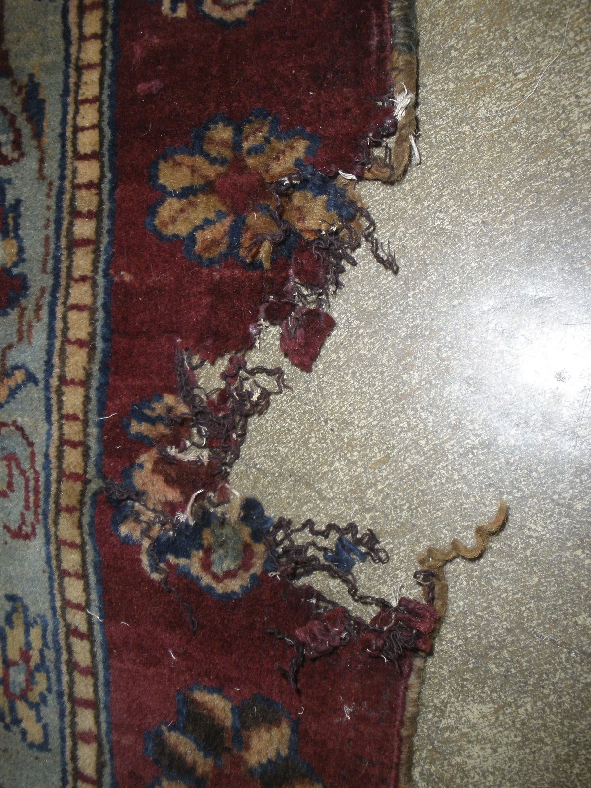 Water Damaged Indian Rug Repair - Result