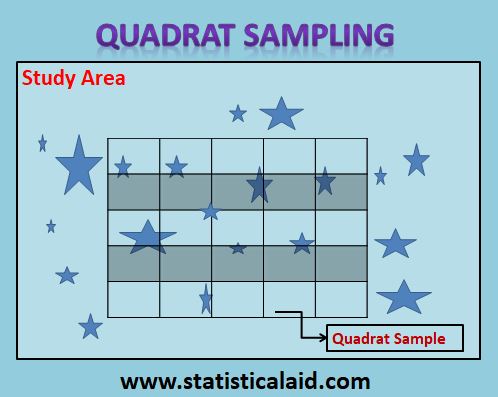 Quadrat Sampling: Application with Advantages and Disadvantages