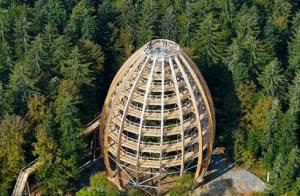 Menara Observasi Baumwipfelpfad, Jerman