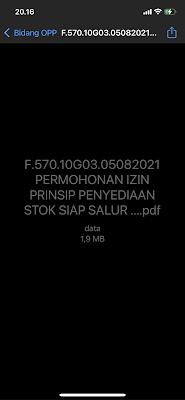 How to fix iPhone 12 not able to open PDF file in Whatsapp, default