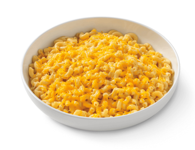 mac and cheese noodles and company recipe
