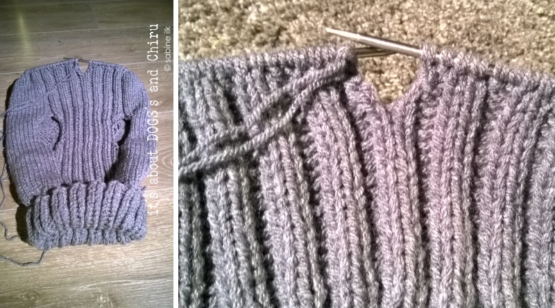 Diy Fur Hunde Hundepullover Selber Stricken About Dogs And Chiru Hundeblog