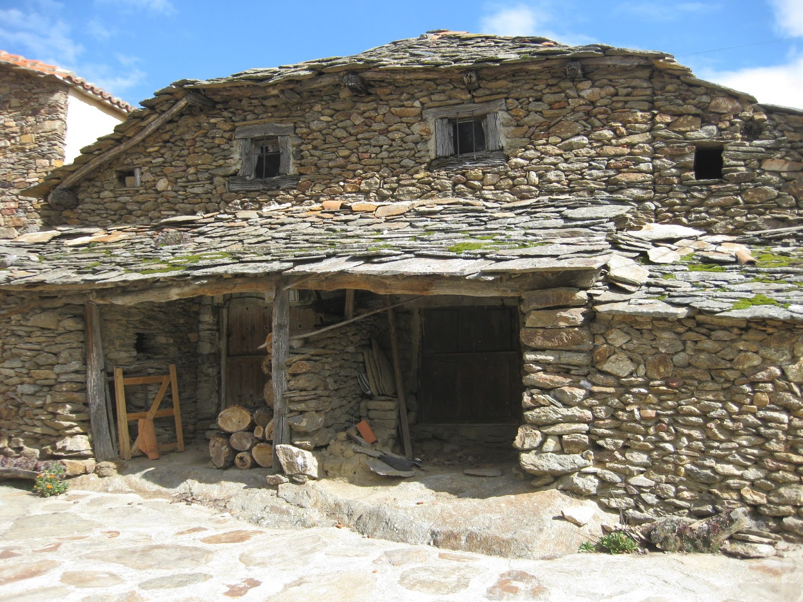 Los álamos dorados Las Navas de Jadraque