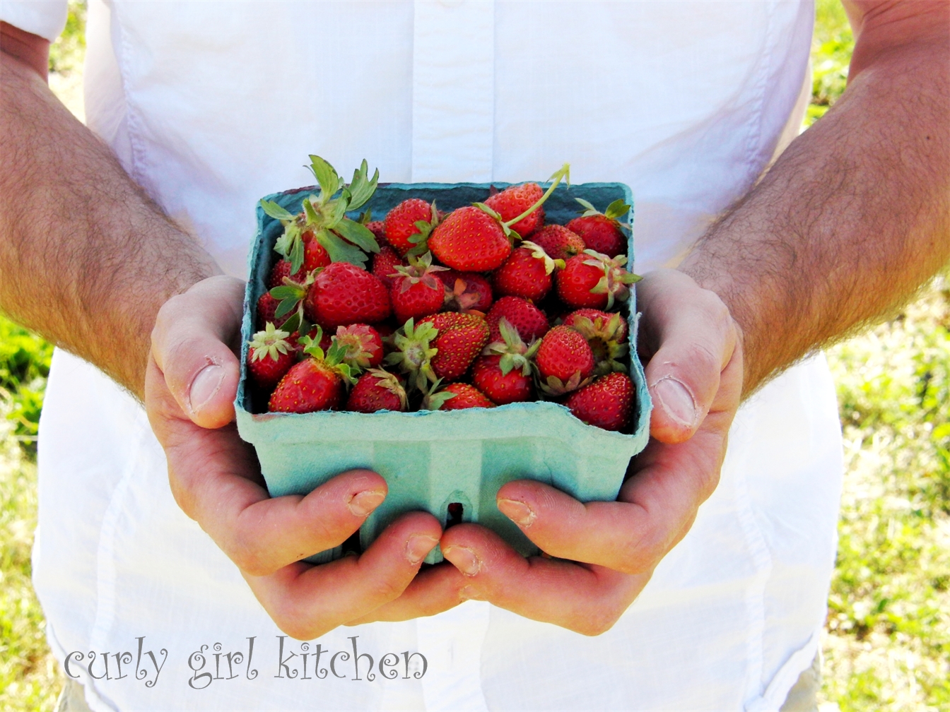 22 Best Strawberry Plants Images Strawberry Plants Strawberry