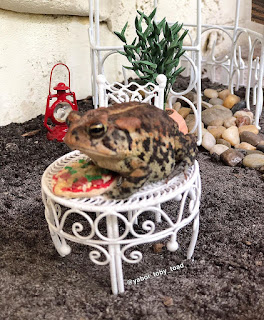 Prince toad enjoy tea, hug the toilet into a network phenomenon