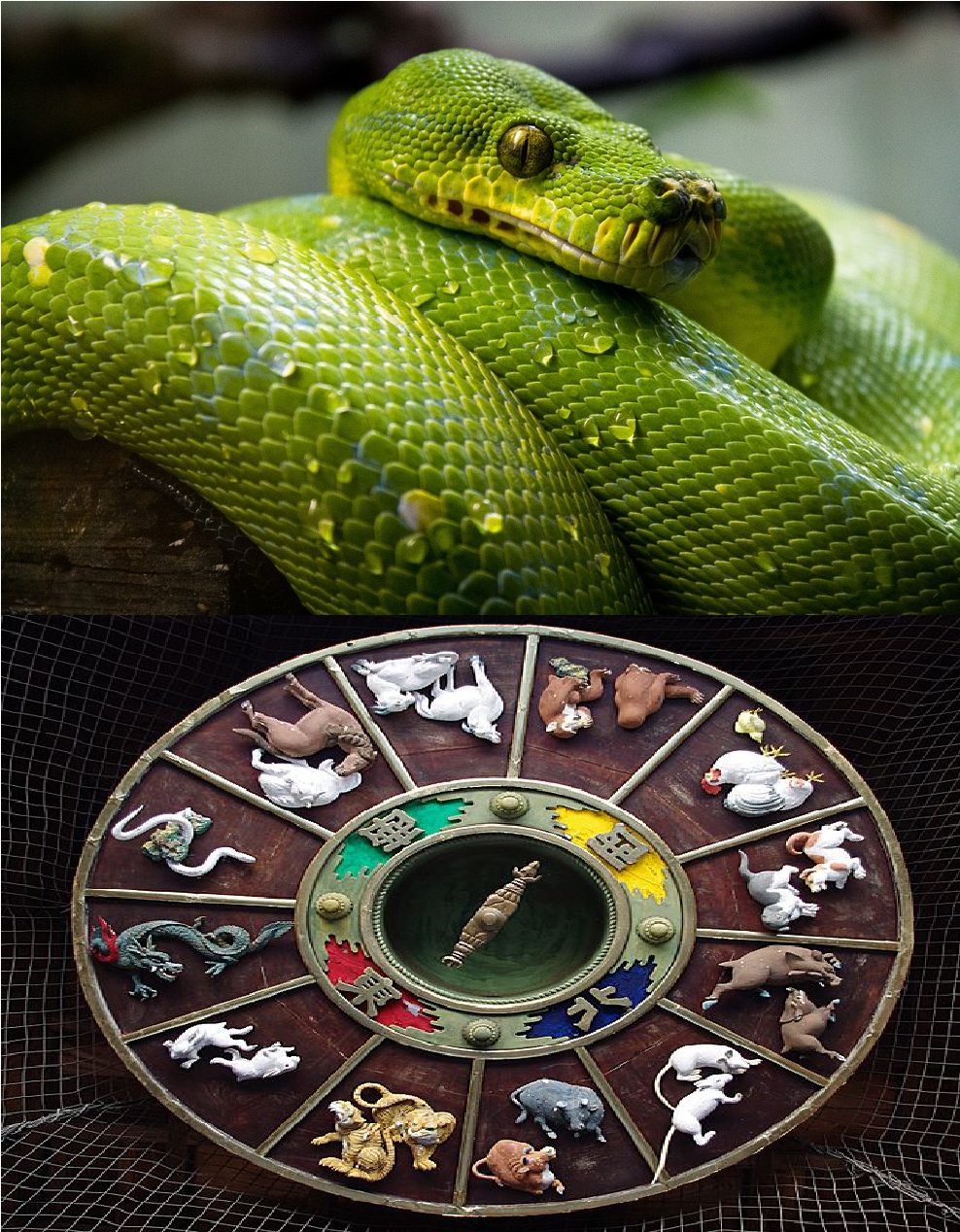 Chinese Horoscope Snake Year of the Snake