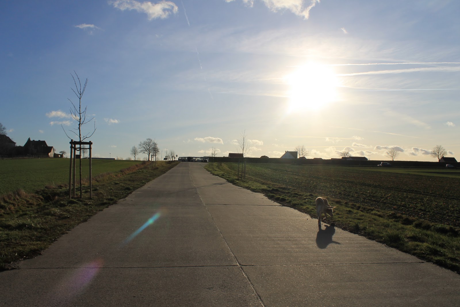 JuniWonderland: Stoffvorräte