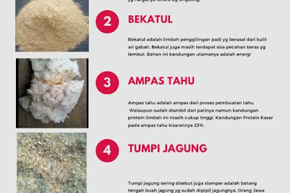 Cara Meracik & Membuat Konsentrat Kambing 