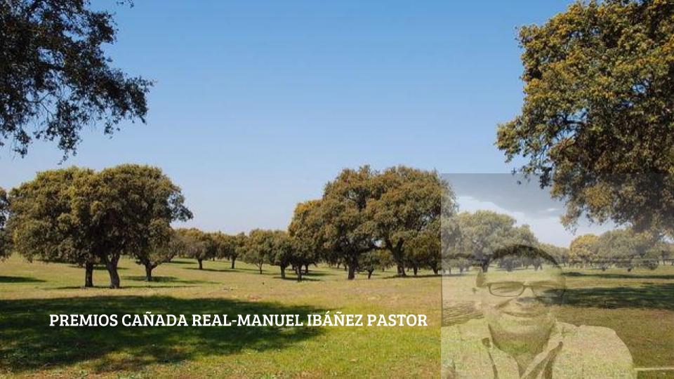 PREMIOS CAÑADA REAL MANUEL IBÁÑEZ PASTOR