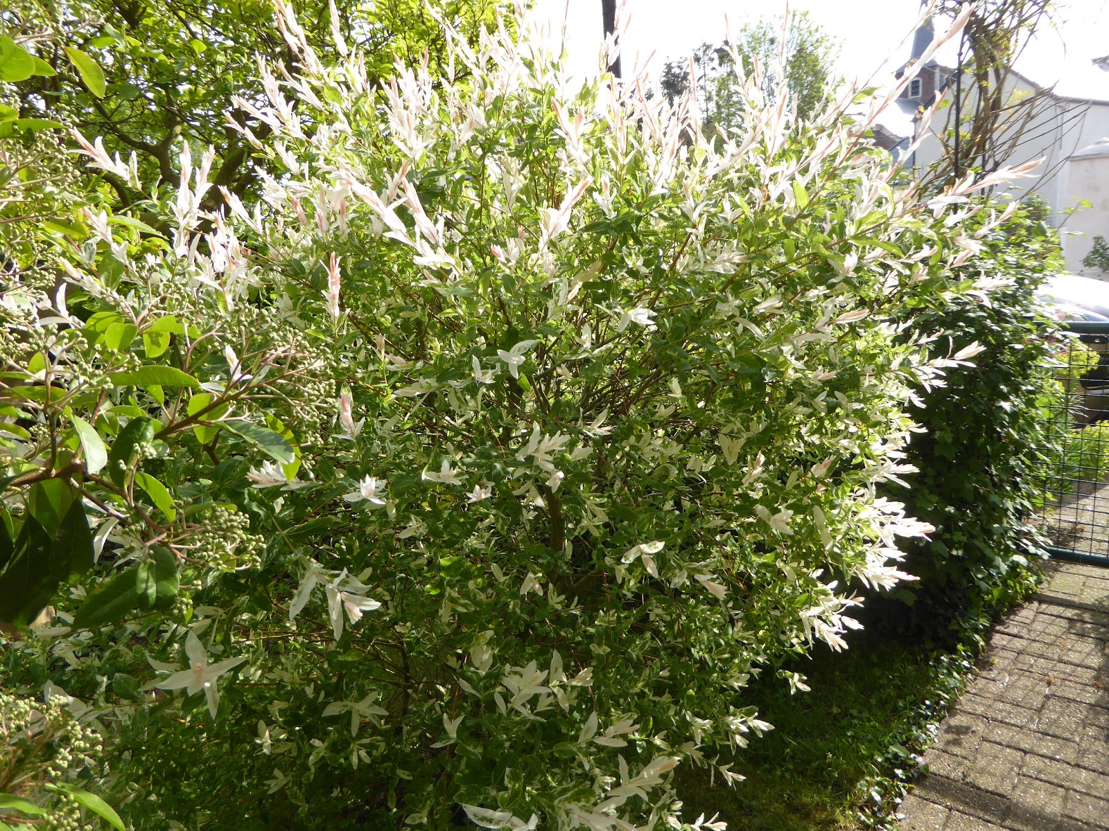 Ma Terre De Bruyere Avant De Vous Quitter