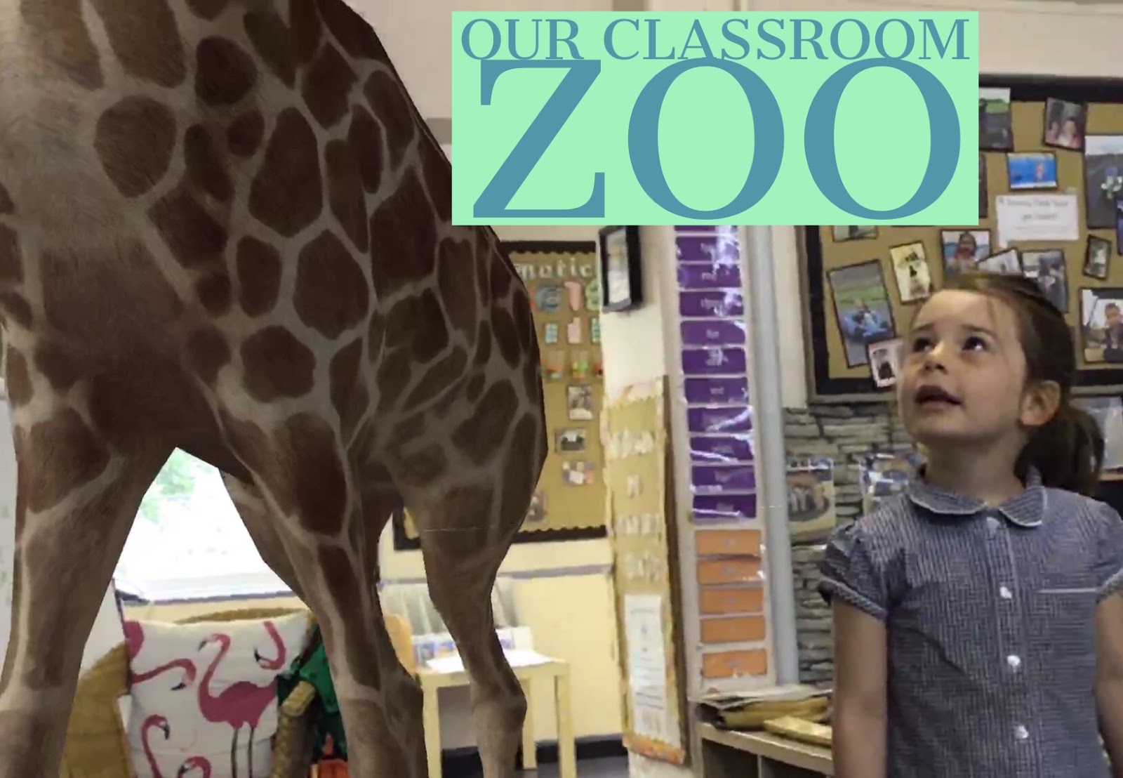 Our Classroom Zoo