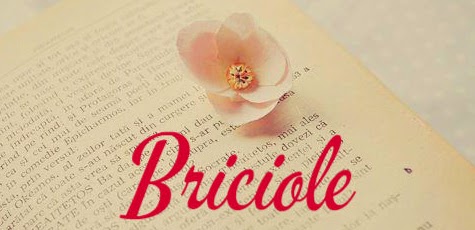 Briciole di Parole Briciole 13