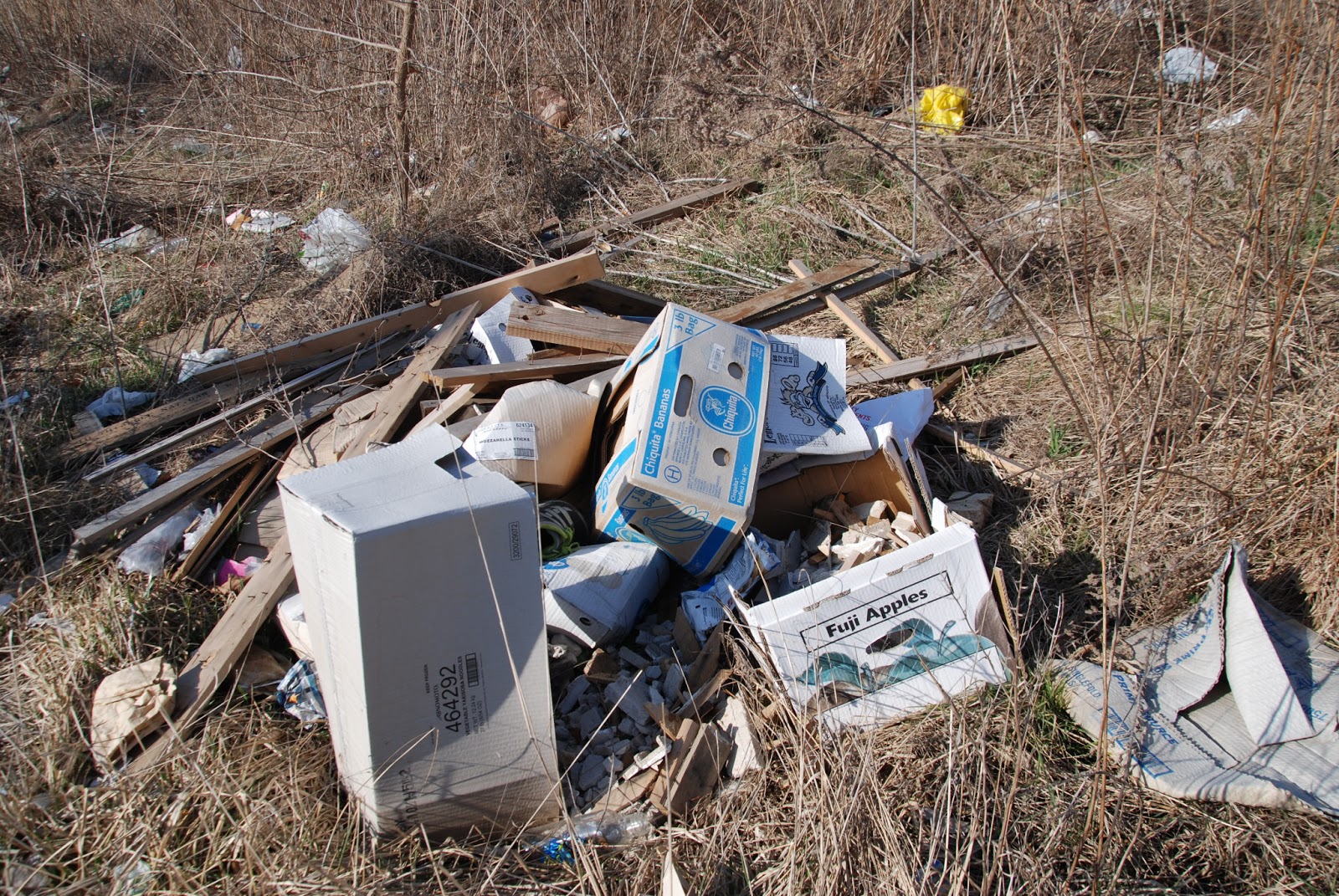 PHILINPHLASH NEWS PHLASH CHICAGO LITTERING,DUMPING,THROWING TRASH