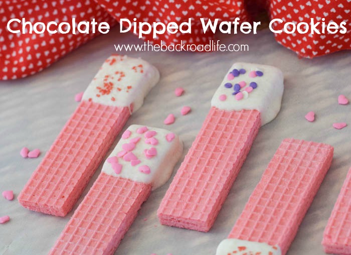 The Backroad Life Chocolate Dipped Wafer Cookies