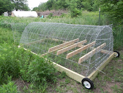 tractor chicken coop coops chickens moveable portable tractors diy build meat pen plans homemade easy backyard simple naturalist cage chick