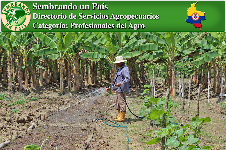 encuentra agrónomos y profesionales del agro en colombia