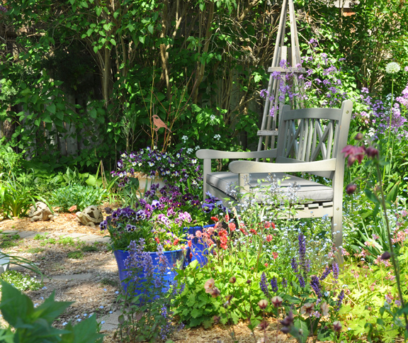 Noel S Garden Blog We Have The New Perennials But Where Is The