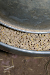 blue seal chicken coop 4