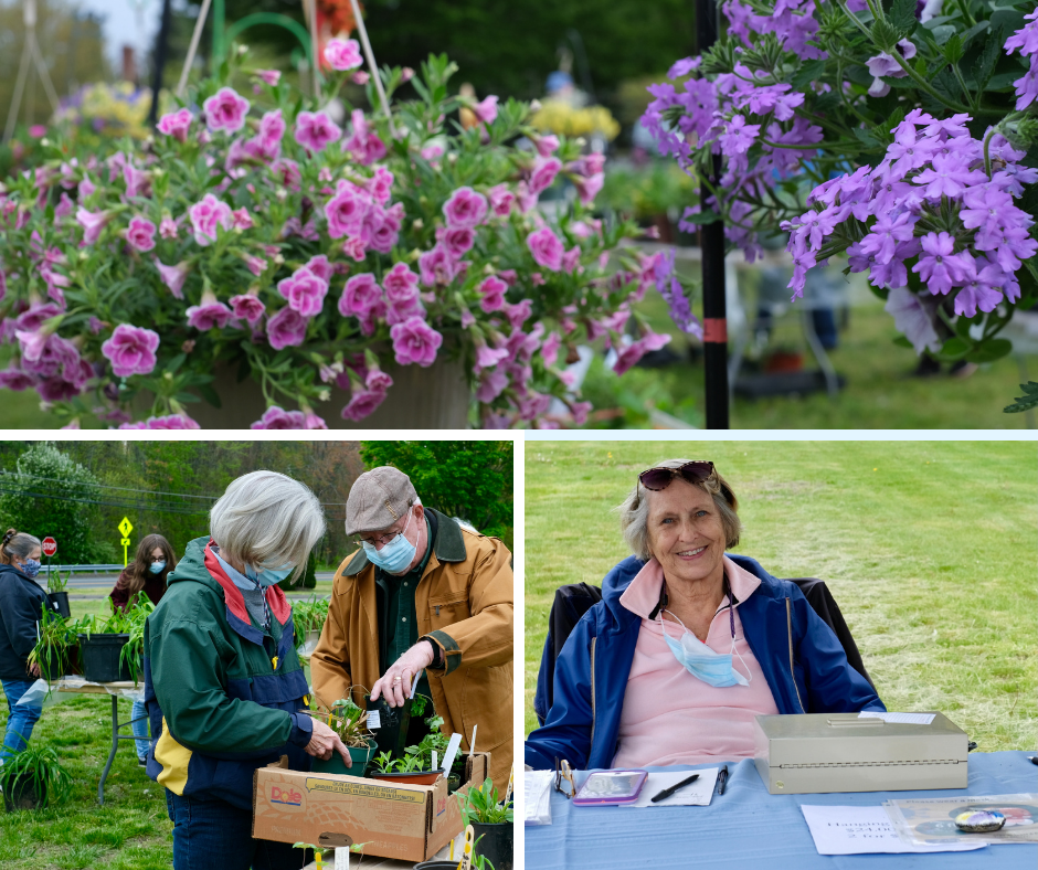 Enfield Garden Club 2021 PLANT SALE MAY 8