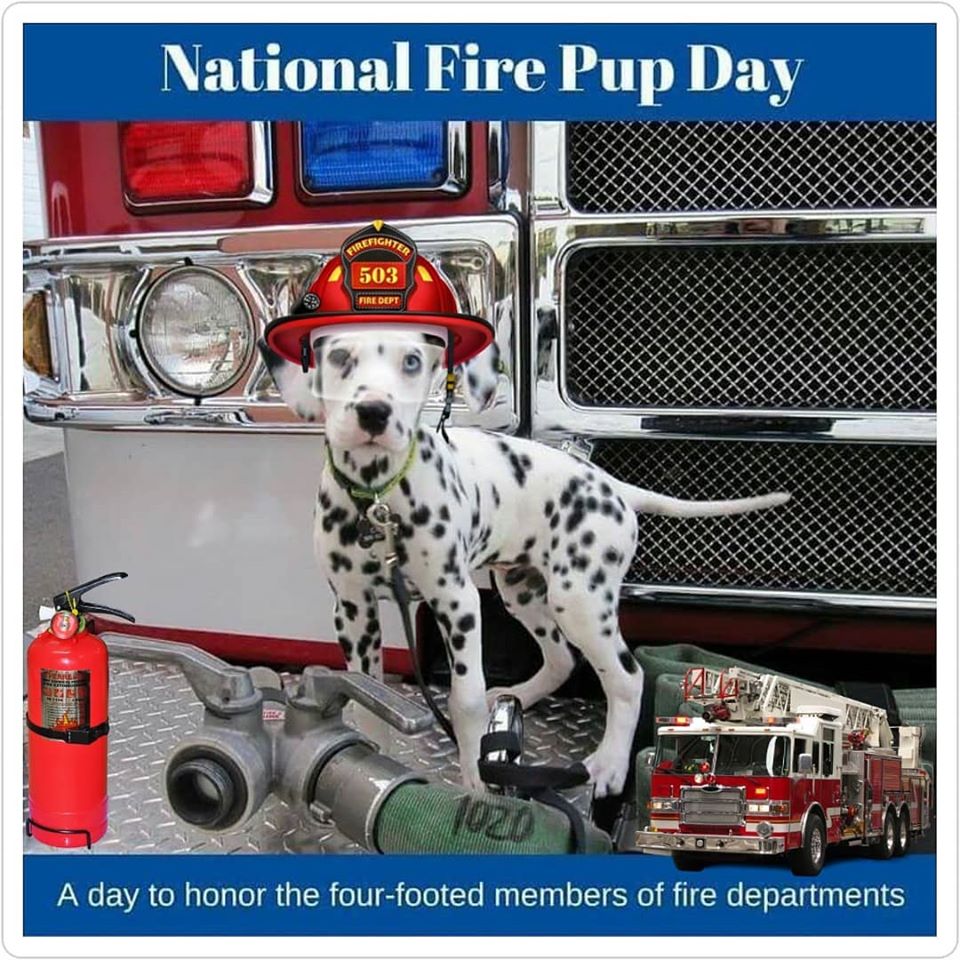 National Fire Pup Day Wishes Awesome Images, Pictures, Photos, Wallpapers National Fire Pup Day Wishes Awesome Images, Pictures, Photos, Wallpapers