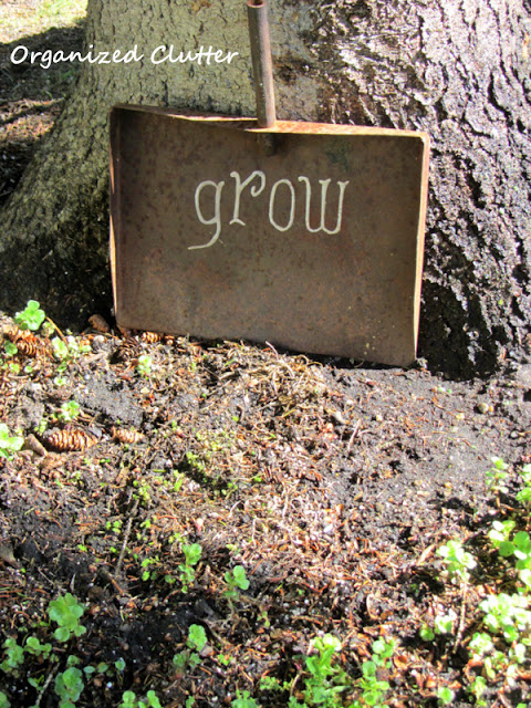 Photo of a rusty shovel head with a chalk transfer method garden word.