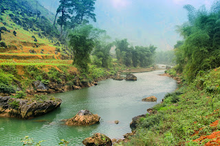   Ly Cam Tu. Gold or Fish: behavior towards Nang river’s natural resources of the Yao ethnic people in northern upland Vietnam 