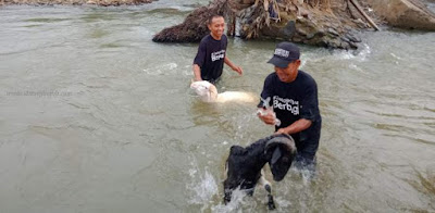 Kurban Dompet Dhuafa