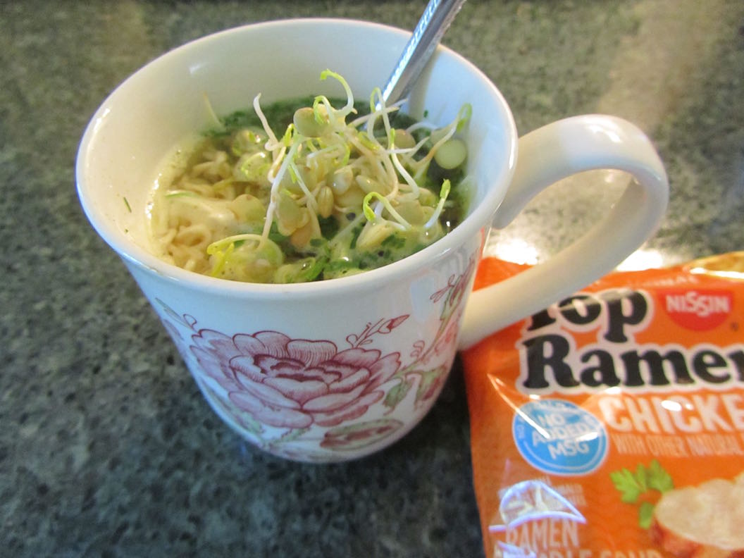 creative savv SemiHomemade Cup of Noodles