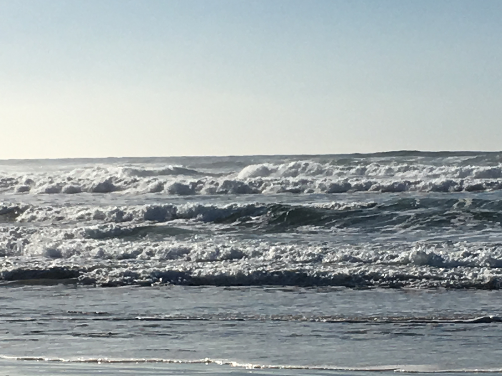 Beachfront Living In Ocean Park, WA