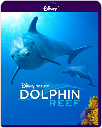 Dolphin Reef (2020) 1080p DSNP WEB-DL Dual Latino-Inglés [Subt. Esp] (Documental. Delfines)