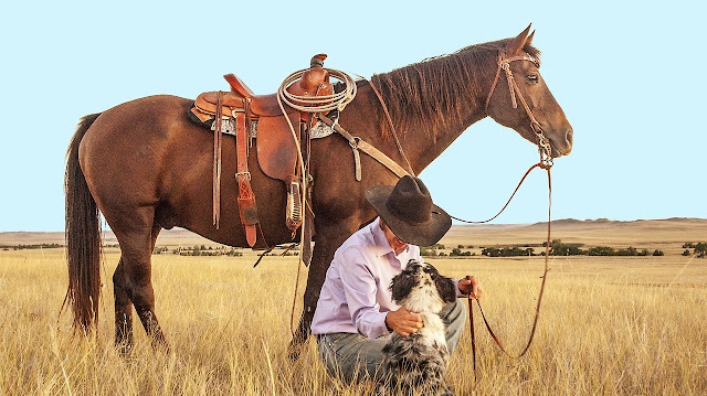 A horse standing next to a cowboy that is petting a dog