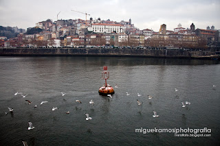 porto