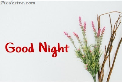 Top 101 Good Night Images || Best Good Night Images Top 101 Good Night Images || Best Good Night Images
