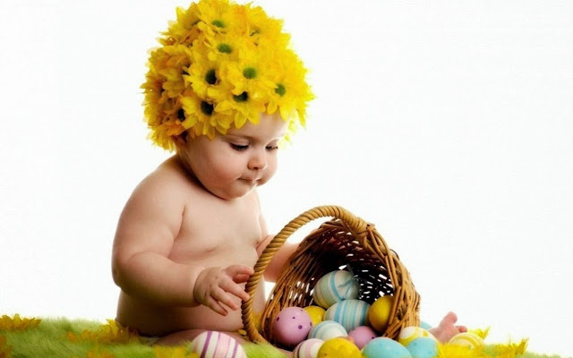 112222-Baby And Egg Basket HD Wallpaperz