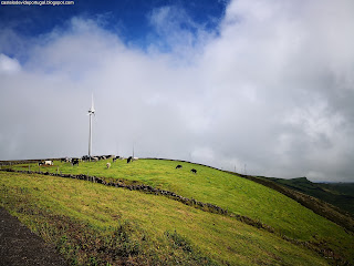 PORTUGAL / Views, Ilha Terceira, Açores, Portugal