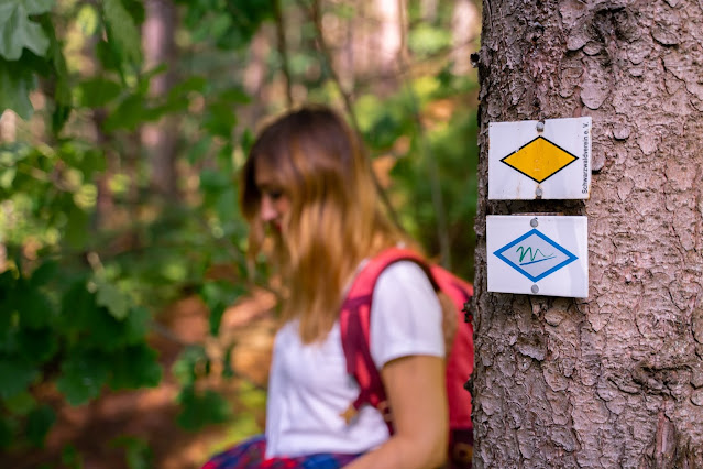 Premiumwanderweg Murgleiter | Etappe 5 von Baiersbronn zum Schliffkopf | Wandern nördlicher Schwarzwald 15