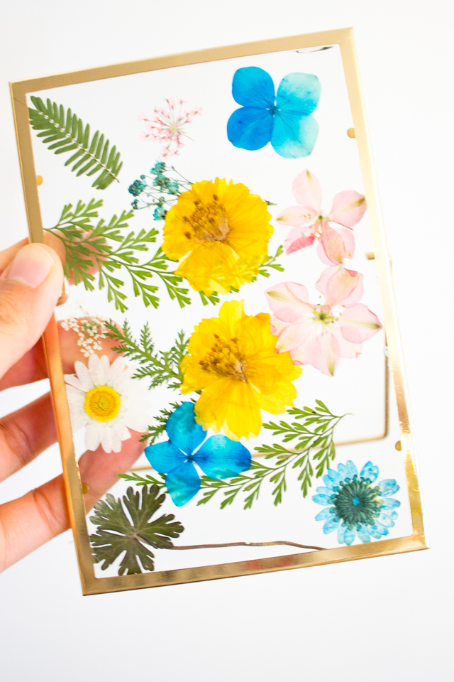 How to Make a Pressed Flower Frame