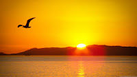 world nature conservation day -in hindi 7 Hindi Hindustani