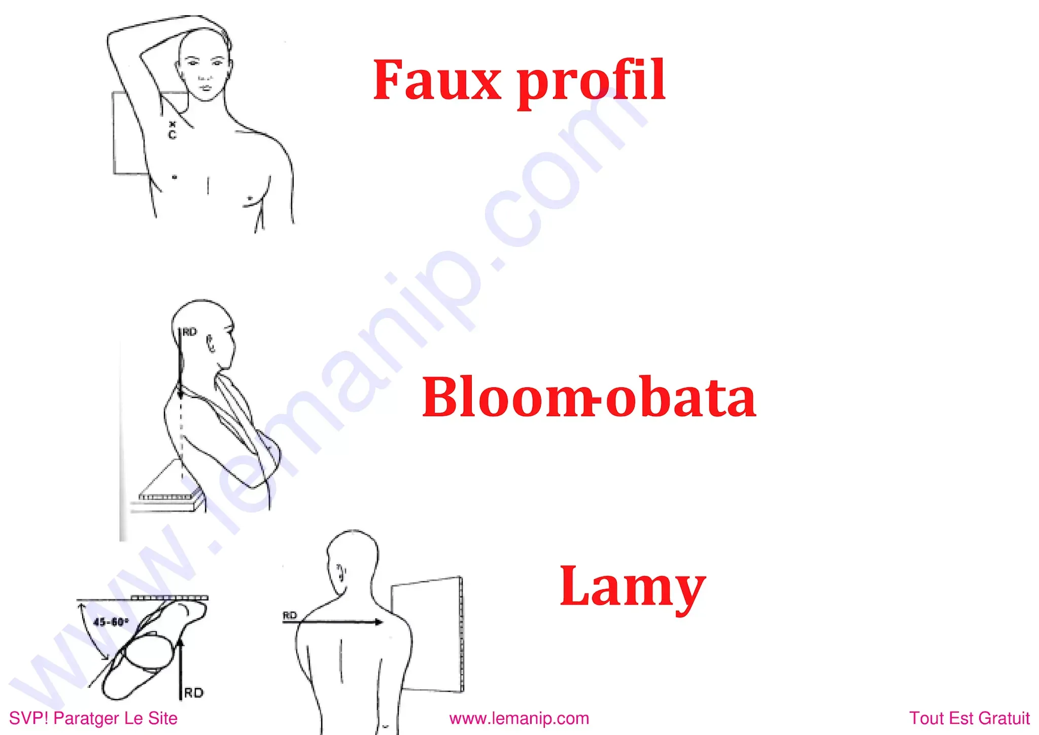 Bloom Oubata  lamy faux profil