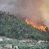 Φωτιά σε δασική έκταση στο Άγιο Όρος – Επιχειρούν και εναέρια μέσα – Κινητοποίηση της Πυροσβεστικής